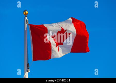 Canadian flag on a windy day against a blue sky in Steveston Canada Stock Photo