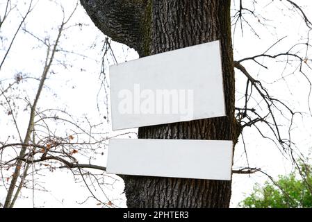 Blank white boards attached to tree trunk outdoors. Space for text Stock Photo