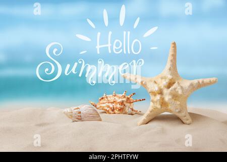 Hello Summer. Beautiful starfish and seashells on sandy beach Stock Photo