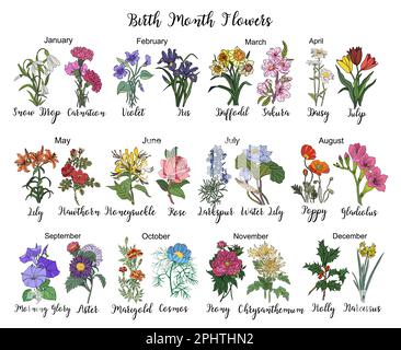 Botanical set of birth month flowers vector art Stock Vector Image ...