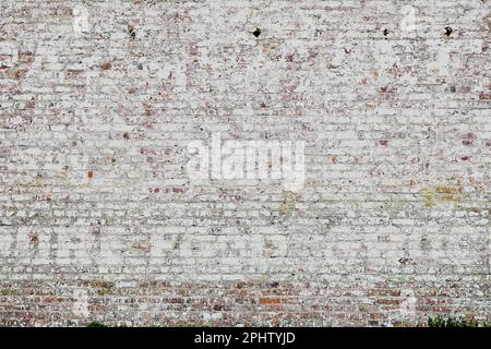 vintage brown and white brick wall background Stock Photo