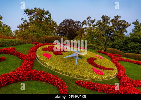 Sunset view of Flower clock in the swiss city Geneva. Stock Photo