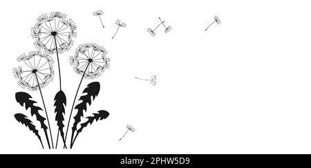 Dandelion flying seeds ink silhouette banner. Abstract flowers dandelions blossom black figure shape plants. Botany floral design template, advertising background, poster card, cover invitation vector Stock Vector