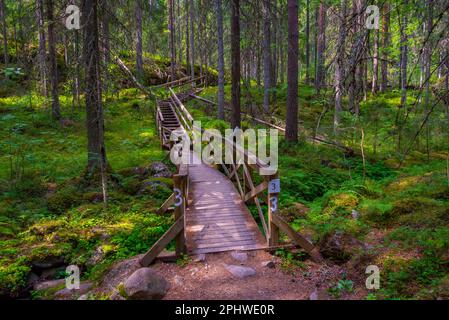 Natural Landscape Of Helvetinj rvi National Park In Finland Stock Photo natural-landscape-of-helvetinj-rvi-national-park-in-finland-stock-photo