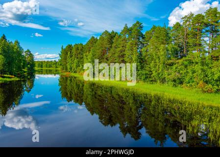 Pine forest reflected on water in Finland. Stock Photo