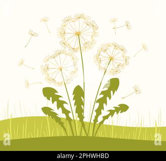 Dandelion with flying seeds in meadow, summer illustration. Abstract flowers dandelions plants. Botany floral nature design for postcard, sticker, poster invitation, wedding card, poster, cover vector Stock Vector