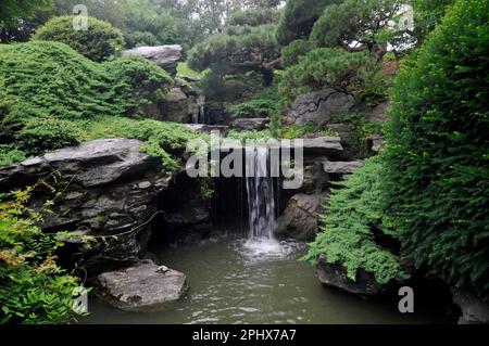 Brooklyn Botanic Garden in New York City. Stock Photo