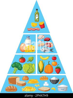 Food nutrition groups pyramid illustration Stock Vector Image & Art - Alamy