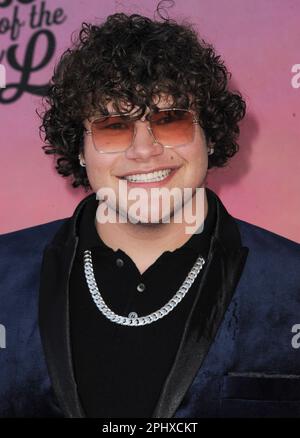 Los Angeles, CA. 29th Mar, 2023. at arrivals for GREASE: RISE OF THE PINK LADIES Premiere, Hollywood American Legion Post 43, Los Angeles, CA March 29, 2023. Credit: Elizabeth Goodenough/Everett Collection/Alamy Live News Stock Photo