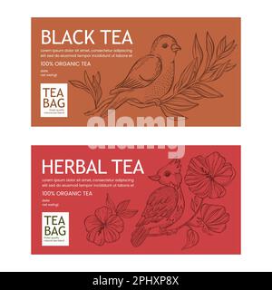 BLACK AND HERBAL TEA In Vintage Style Contemporary Design Of Packaging With Birds On Branch And Blossom Flowers Printable Vector For Modern Typography Stock Vector