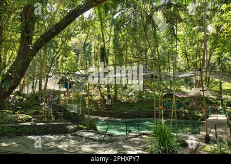 The idyllic park at the Ardent Hot Springs in Camiguin in the ...