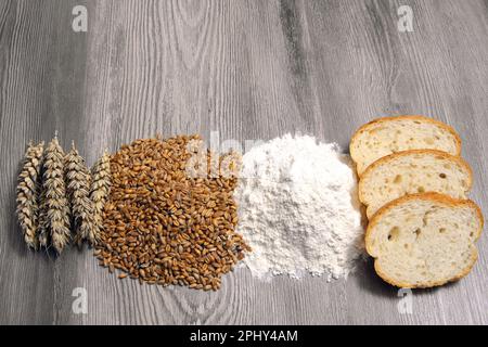 bread wheat, cultivated wheat (Triticum aestivum), stages of corn; spikes, grains, flour, wheat bread Stock Photo