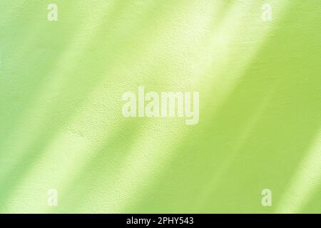 Natural shadow overlay on green colored grunge wall concrete texture background. Textures Light reflection from the window. Stock Photo