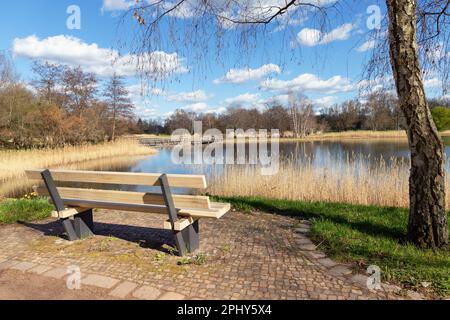 A wooden bench on a lake in  'Britz garden' (Britzer Garten), Berlin - Germany Stock Photo