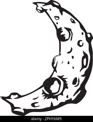 Crescent Moon with Lunar Craters. Black and White. Vector illustration. Stock Vector