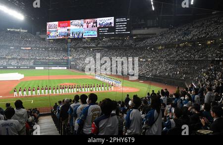 Baseball fans pack the Nippon Ham Fighters' new home stadium, Es Con Field  Hokkaido, in Kitahiroshima, northern Japan, ahead of Nippon Professional  Baseball's season-opening game against the Tohoku Rakuten Eagles on March