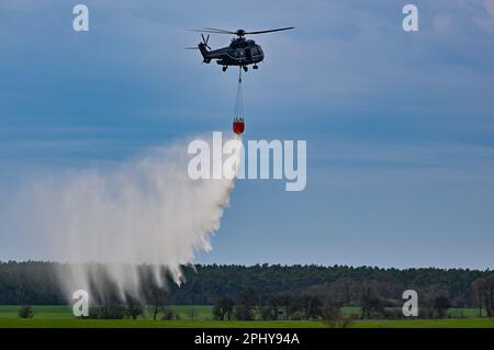 30 March 2023, Brandenburg, Müncheberg: An AS 332 Super Puma helicopter of the German Federal Police flies over Müncheberg-Eggersdorf airfield with a water tank during an exercise. On the same day, an airborne vegetation firefighting exercise was held at the airfield east of Berlin by fire departments, the German Federal Police and the German Armed Forces. The focus was on the practical use of air coordinators as a link between emergency forces in the air and on the ground. During the joint exercise, the fire departments practiced and deepened their interaction with the helicopter pilots of th Stock Photo