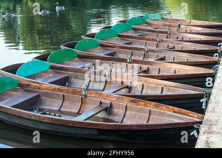 Rowing boats lined up on the River Derwent in Belper River Gardens, Derbyshire, England Stock Photo
