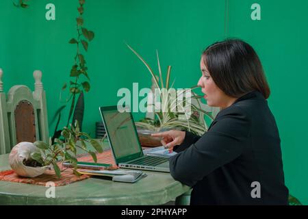 young latin woman entrepreneur, sitting at home watching the laptop and pointing at the screen, open-mouthed surprised by the earnings of her digital Stock Photo