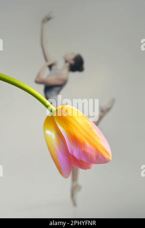 Abstract Beautiful Ballerina Dancing Wearing Skirt from Tulip Flower Stock Photo