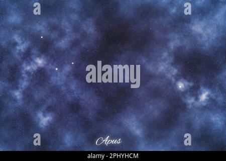Apus star constellation, Night sky, Cluster of stars, Deep space, Bird ...