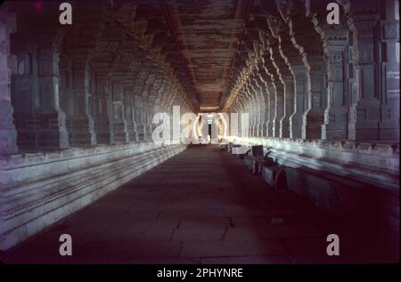 Ramanathaswamy Temple (Rāmanātasvāmi Kōyil) is a Hindu temple dedicated to the god Shiva located on Rameswaram island in the state of Tamil Nadu, India. 825 Feet Long Corridor. Stock Photo