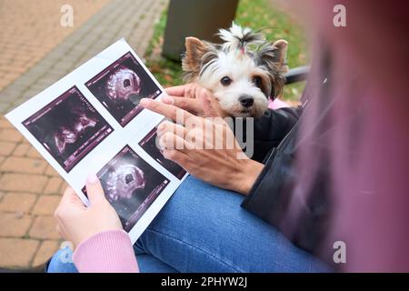 Lady demonstrating fetus on sonogram to her female companion outdoors Stock Photo