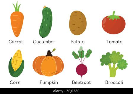 Vegetables collection in cartoon style. Healthy food set or poster with vegetables and their names Stock Vector