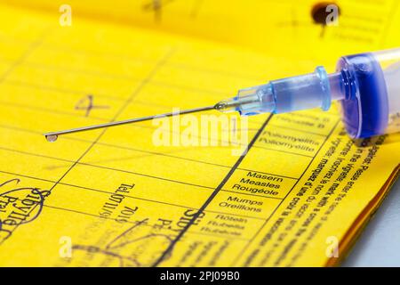 Vaccination certificate with syringe, symbol photo, measles vaccination, studio shot, Germany Stock Photo