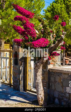 Entrance to the Moni Thari Monastery near Laerma from the 12th century, dedicated to St. Michael, one of the most important religious sites on Stock Photo