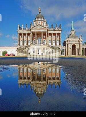 Reflection in puddle, University of Potsdam, Campus Neues Palais, Park Sanssouci, Potsdam, Brandenburg, Germany Stock Photo