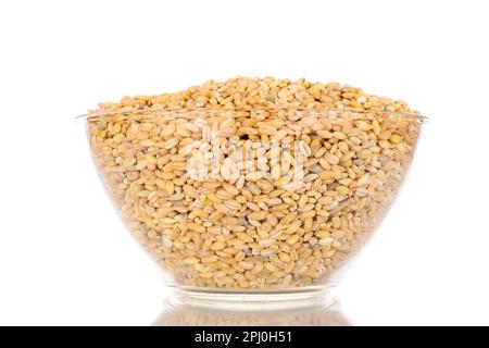 Pearl barley in glass bowl, macro, isolated on white background. Stock Photo