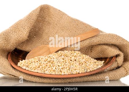 Pearl barley in earthenware bowl with wooden spoon and jute bag, macro, isolated on white background. Stock Photo