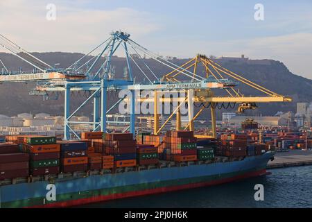 APM Muelle Sur Container Terminal with Montjuic Castle beyond