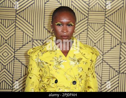 Cynthia Erivo attends the 'Black Panther: Wakanda Forever' European Premiere. (Photo by Fred Duval / SOPA Images/Sipa USA) Stock Photo