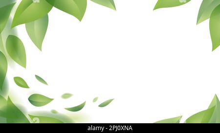 Green leaves in motion design. Fresh flying foliage in the wind isolated on a white background. Vector illustration. Stock Vector