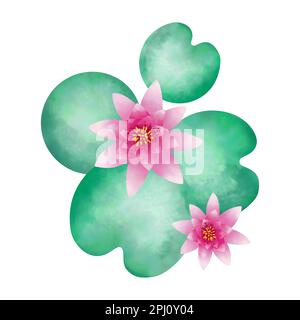 Lotus flowers and leaves. Asian botanical watercolor illustration. Vector design element isolated on white background. Stock Vector