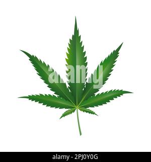 Marijuana leaf. Green hemp leaf vector illustration. Herbal medicine logotype. Isolated on a white background. Stock Vector