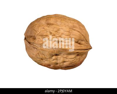 Walnut whole. Single delicious walnut, isolated on white background. Stock Photo