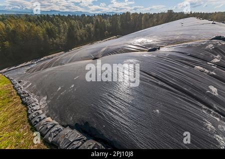 Geomembrane covering a hillside glistens in the sun on a hillside in an active landfill. Stock Photo