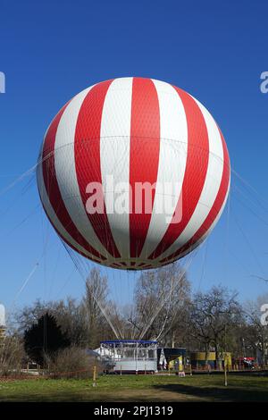 Balloon Fly Hilara Sp Stock Photo 440073406