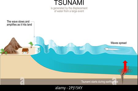 Tsunami is a series of huge waves that generated by submarine earthquakes. Waves travel at subsonic speed across the water surface. Vector diagram Stock Vector