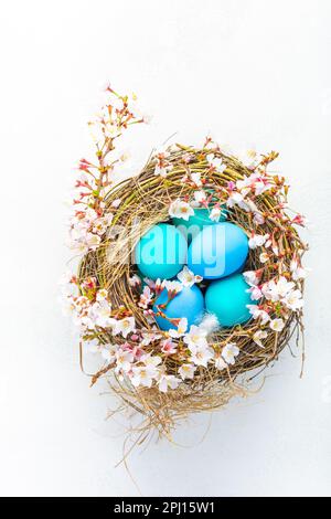 Happy Easter - nest with Easter eggs and cherry branch on white background with copy space. Stock Photo