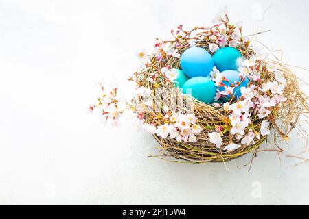 Happy Easter - nest with Easter eggs and cherry branch on white background with copy space. Stock Photo