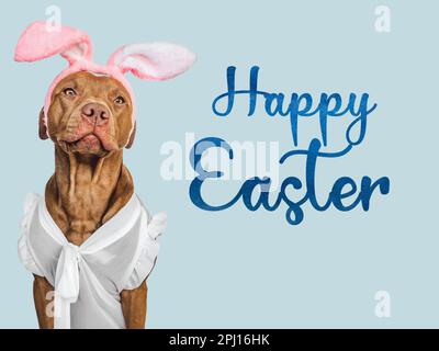 Happy Easter. Lovable, pretty puppy and congratulatory message. Close-up, studio shot, indoor. Day light. Congratulations for family, loved ones, rela Stock Photo