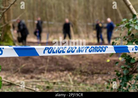 Police search woodland for the remains of  Jason Martin-Smith who was killed over  20 years agho in 2001 aged 28. His body has never been found although hus killer, Mark Searle, was jailed for 29 years for his murder.Battle, East sussex. Multiple police officers have been investigating in fields close to Marley Lane in Battle with a blue tent erected by the side of the site. 30th March 2023  The murder of the victim, which took place in 2001, has been solved, but police have been unable to find the whereabouts of the body. Stock Photo