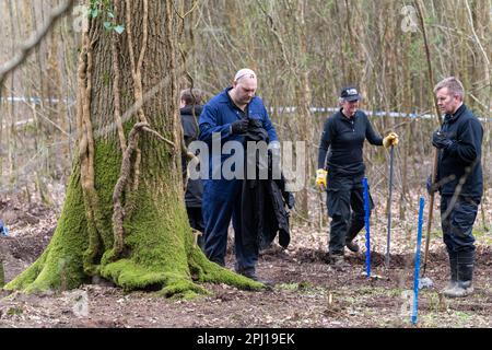 Police search woodland for the remains of  Jason Martin-Smith who was killed over  20 years agho in 2001 aged 28. His body has never been found although hus killer, Mark Searle, was jailed for 29 years for his murder.Battle, East sussex. Multiple police officers have been investigating in fields close to Marley Lane in Battle with a blue tent erected by the side of the site. 30th March 2023  The murder of the victim, which took place in 2001, has been solved, but police have been unable to find the whereabouts of the body. Stock Photo