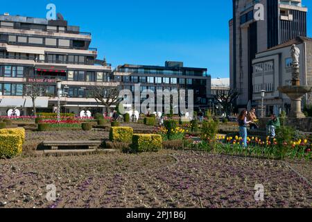 Braga, Portugal. February 11, 2023. Santa Barbara Garden, Jardim de Santa Barbara Stock Photo