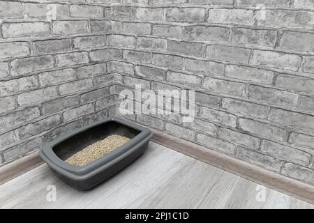 the cat tray is on the floor in the room. dry cat litter box. High quality photo Stock Photo