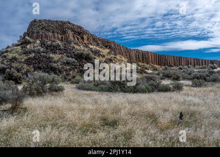 Drumheller Channel Basalt Columns in Washington State Stock Photo